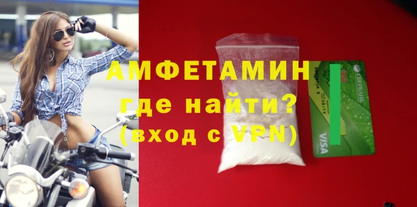 прущие грибы Михайлов