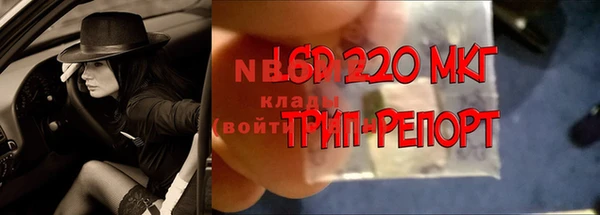 дмт Алзамай