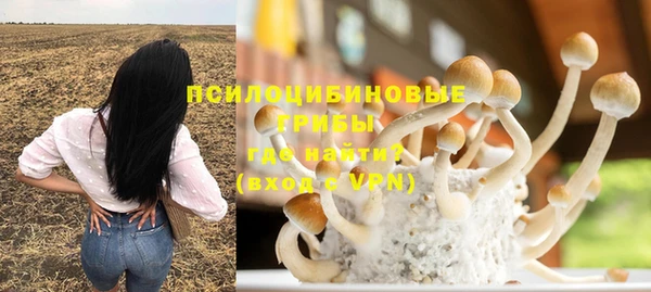 дмт Алзамай